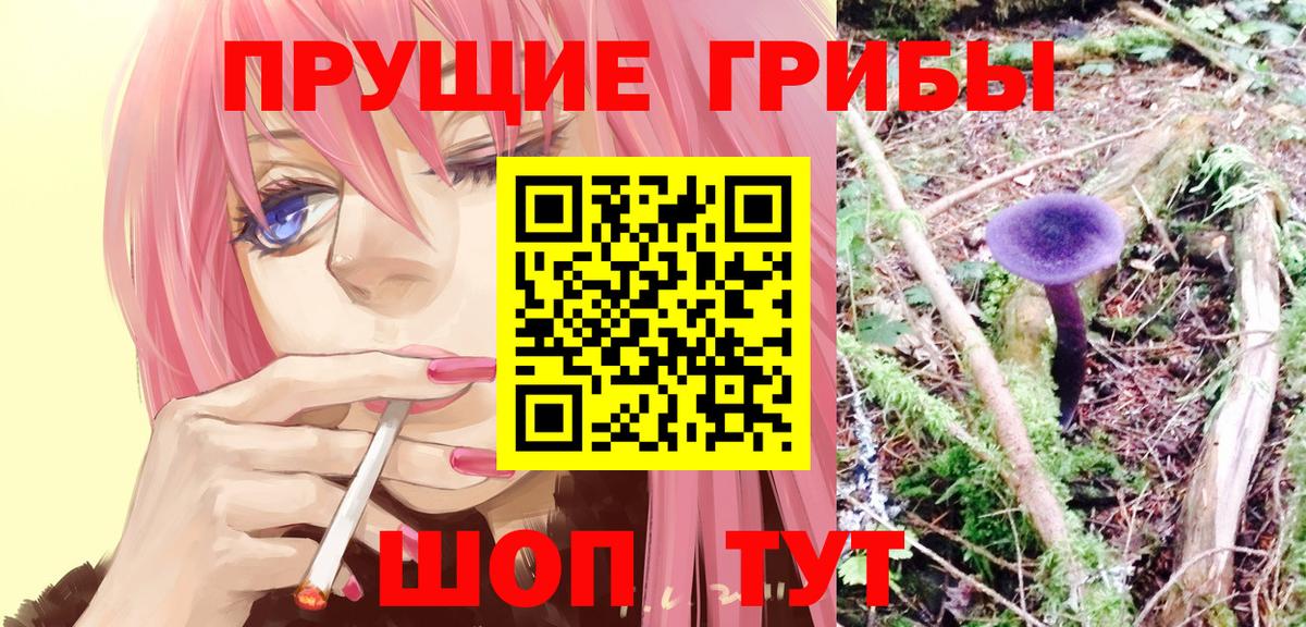 Волгоград  Галлюциногенные грибы прущие грибы  Галлюциногенные грибы Cubensis  Вход с VPN 