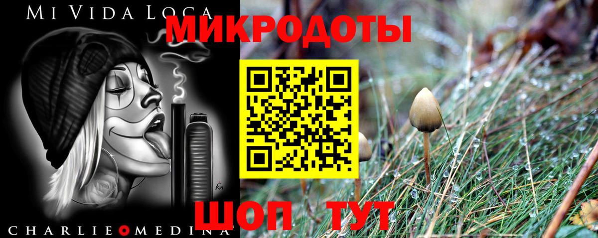 Галлюциногенные грибы Psilocybe Волгоград